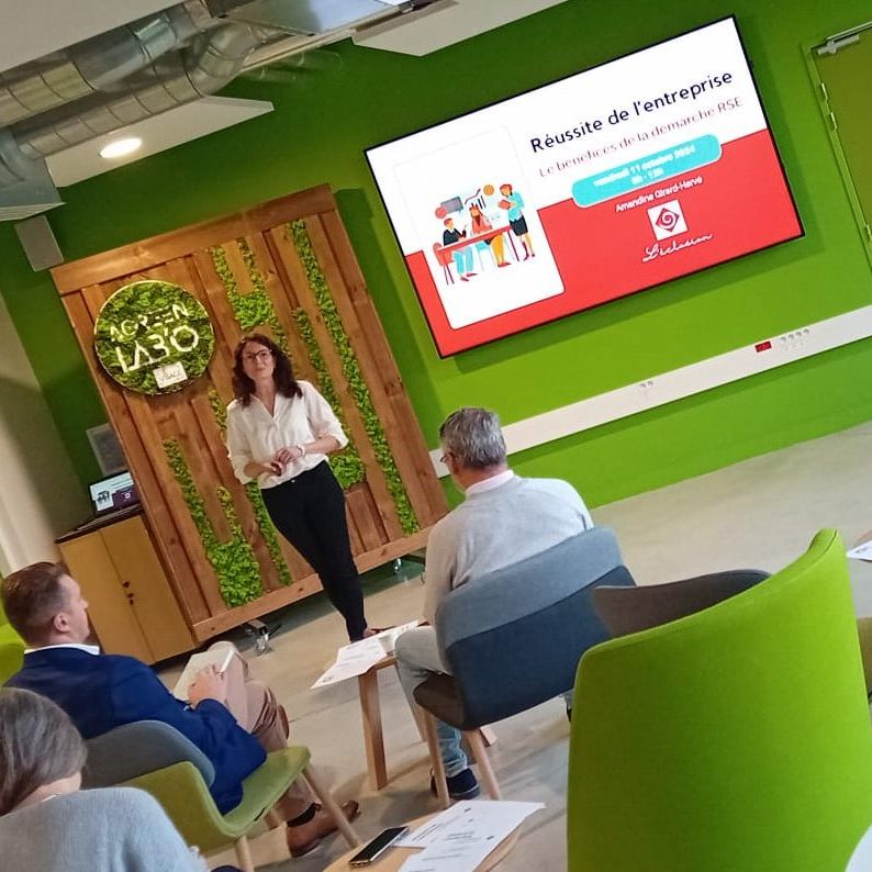 Image d'une formation animée par Amandine Girard-Hervé