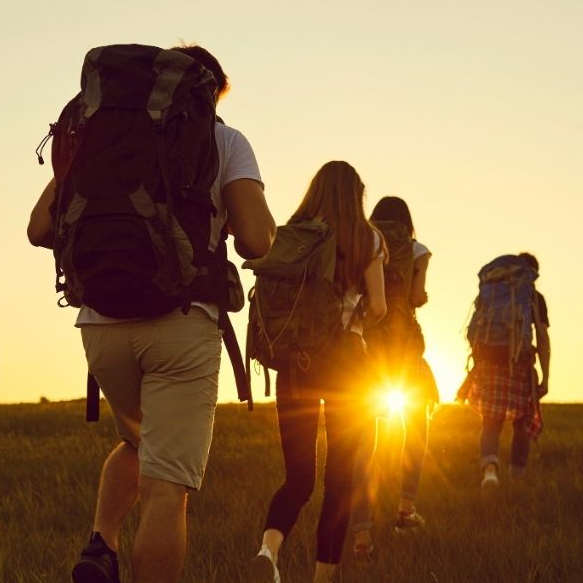 Une équipe avance ensemble dans la même direction dans la nature, en direction du soleil.